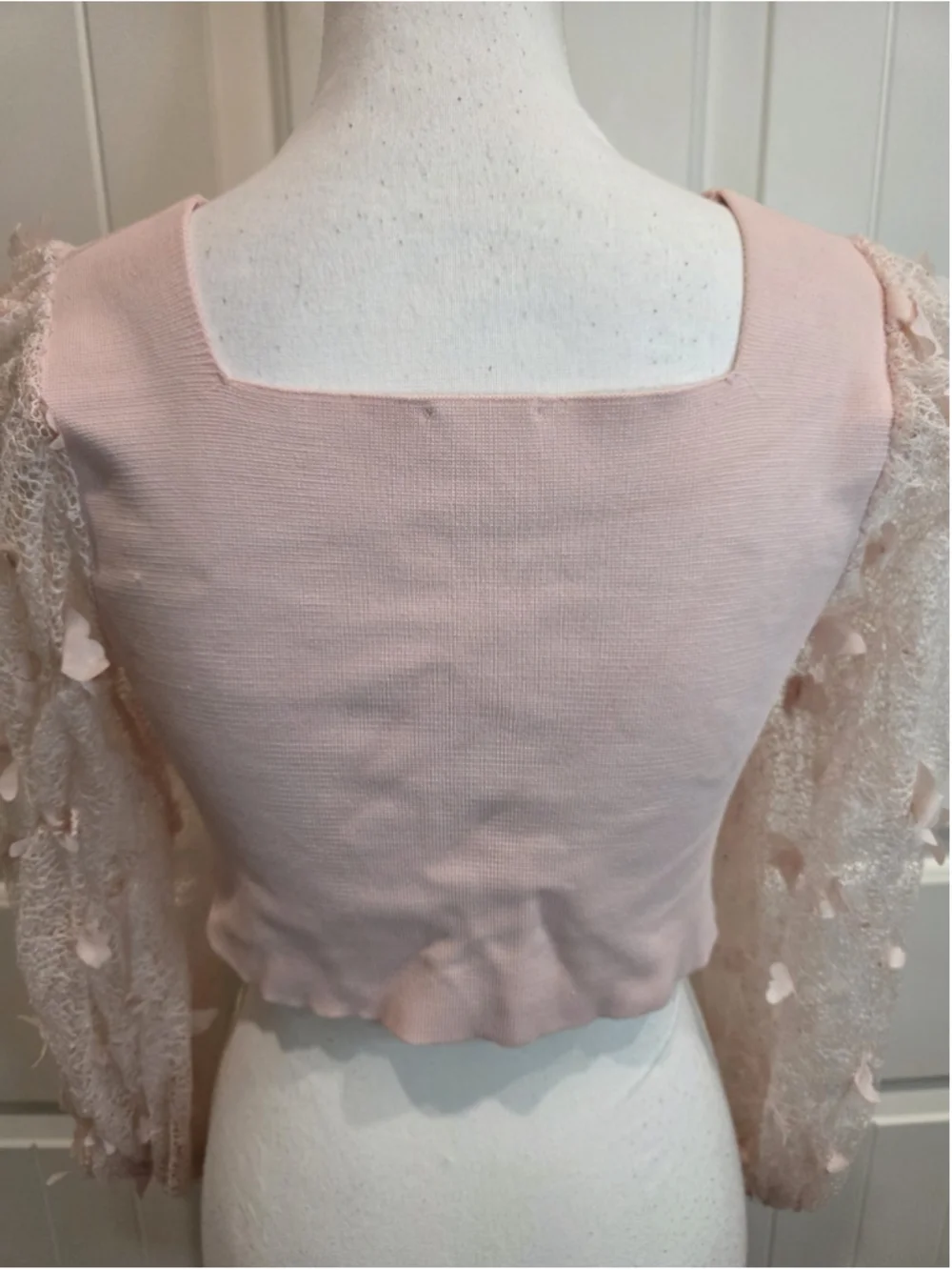 Free People Intimately Baby Pink Butterfly Lace Sleeve Crop Top Sz L Cottagecore